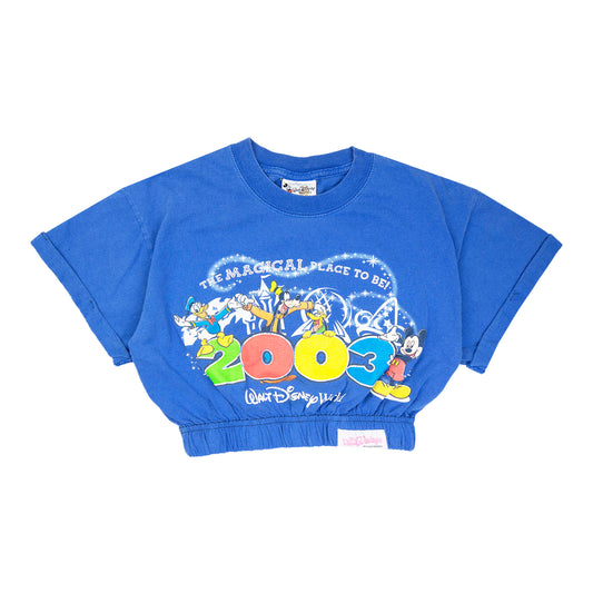 Cropped 2003 Mickey & Friends Tee (S)