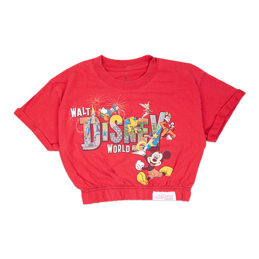 Cropped WDW Mickey & Friends Tee (S)