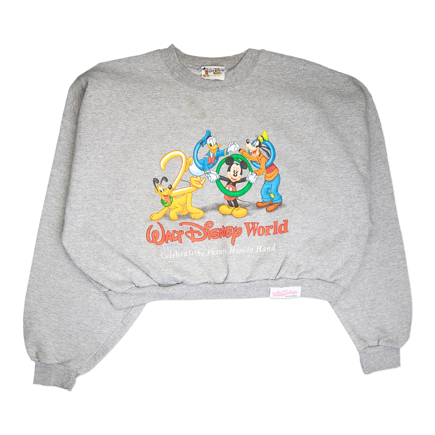 00' Disney World Crop (XL)