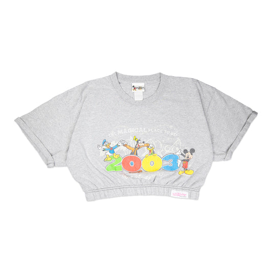 Cropped 2003 Mickey & Friends Tee (XL)